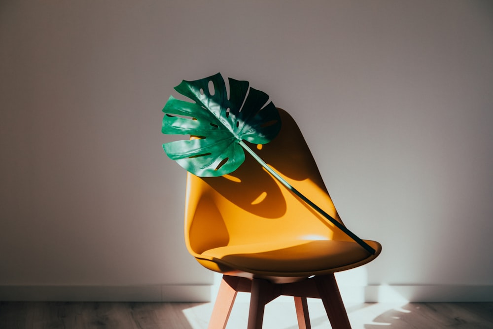 yellow and green umbrella on brown wooden stool