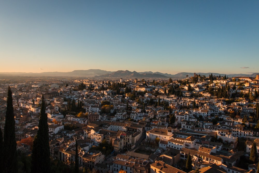 aerial view of city during daytime