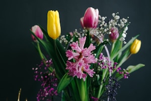 Tulip Delight