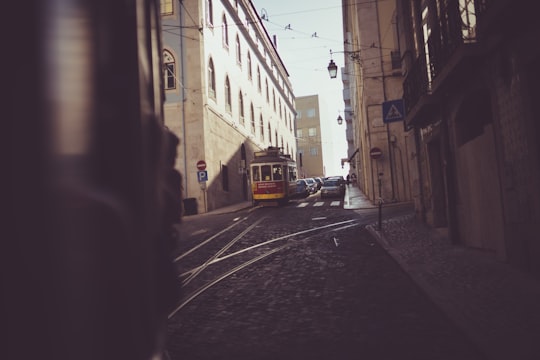 cars on road between buildings during daytime in Lissabon Portugal