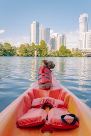 brown short coated dog on orange kayak on body of water during daytime