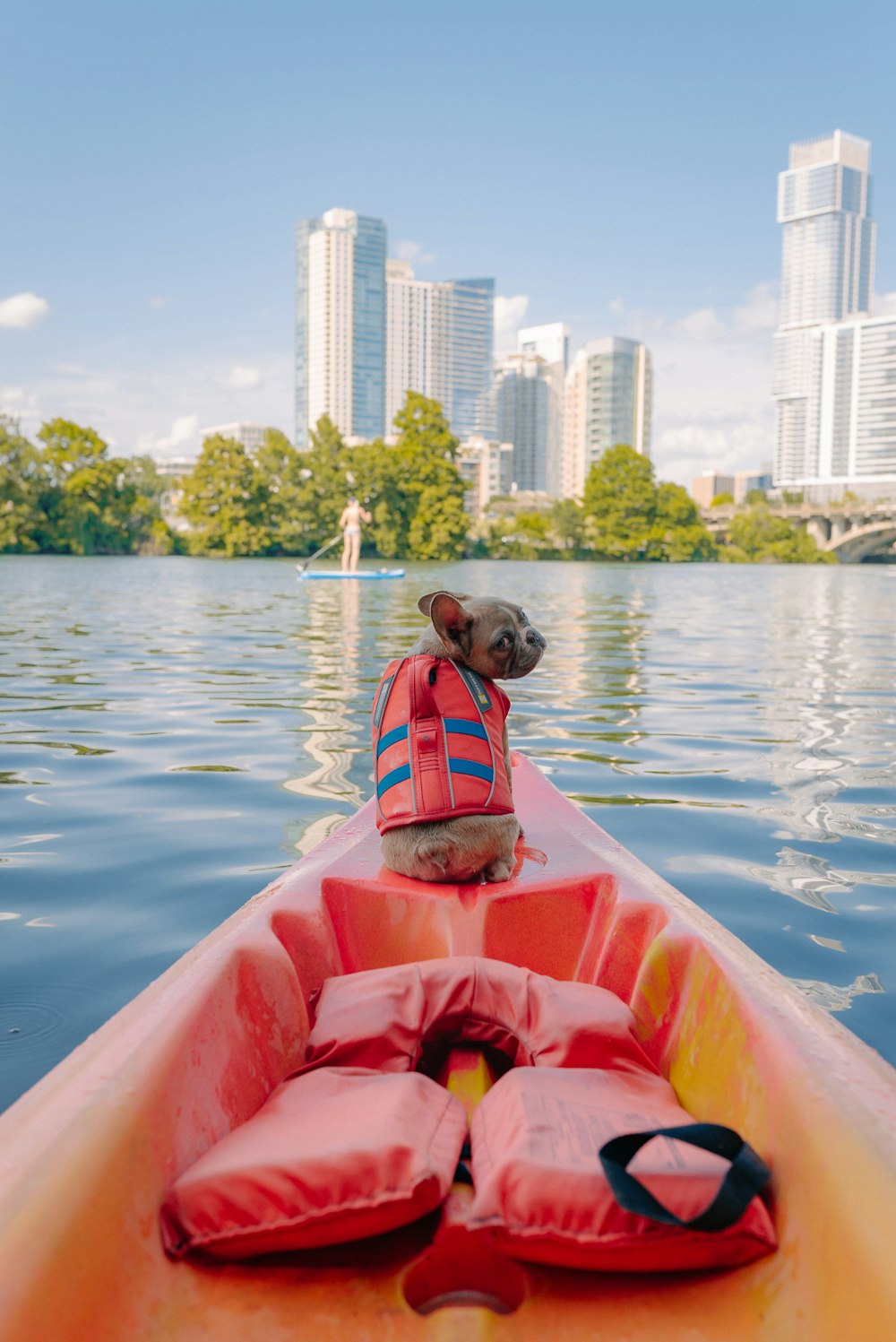brown short coated dog on orange kayak on body of water during daytime
