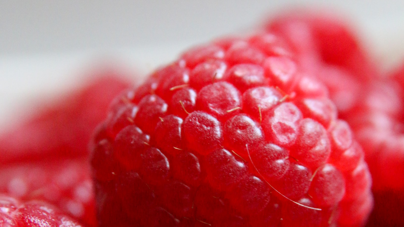 Ensuring a Smooth and Successful Raspberry Transplantation Process: Digging, Lifting, and Root Pruning