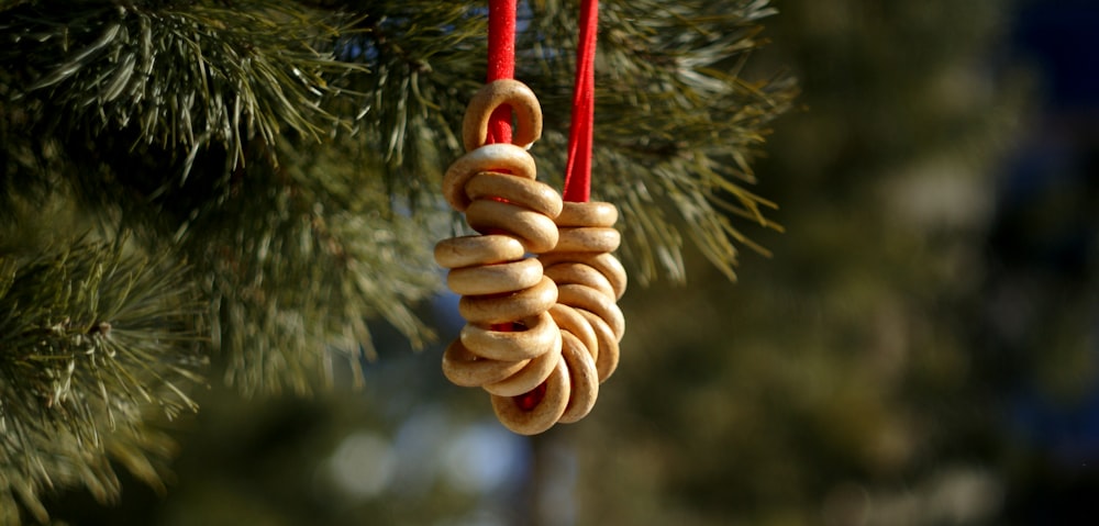 brown rope tied on green pine tree