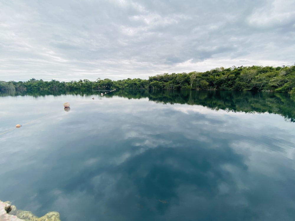 green trees beside body of water under white clouds during daytime