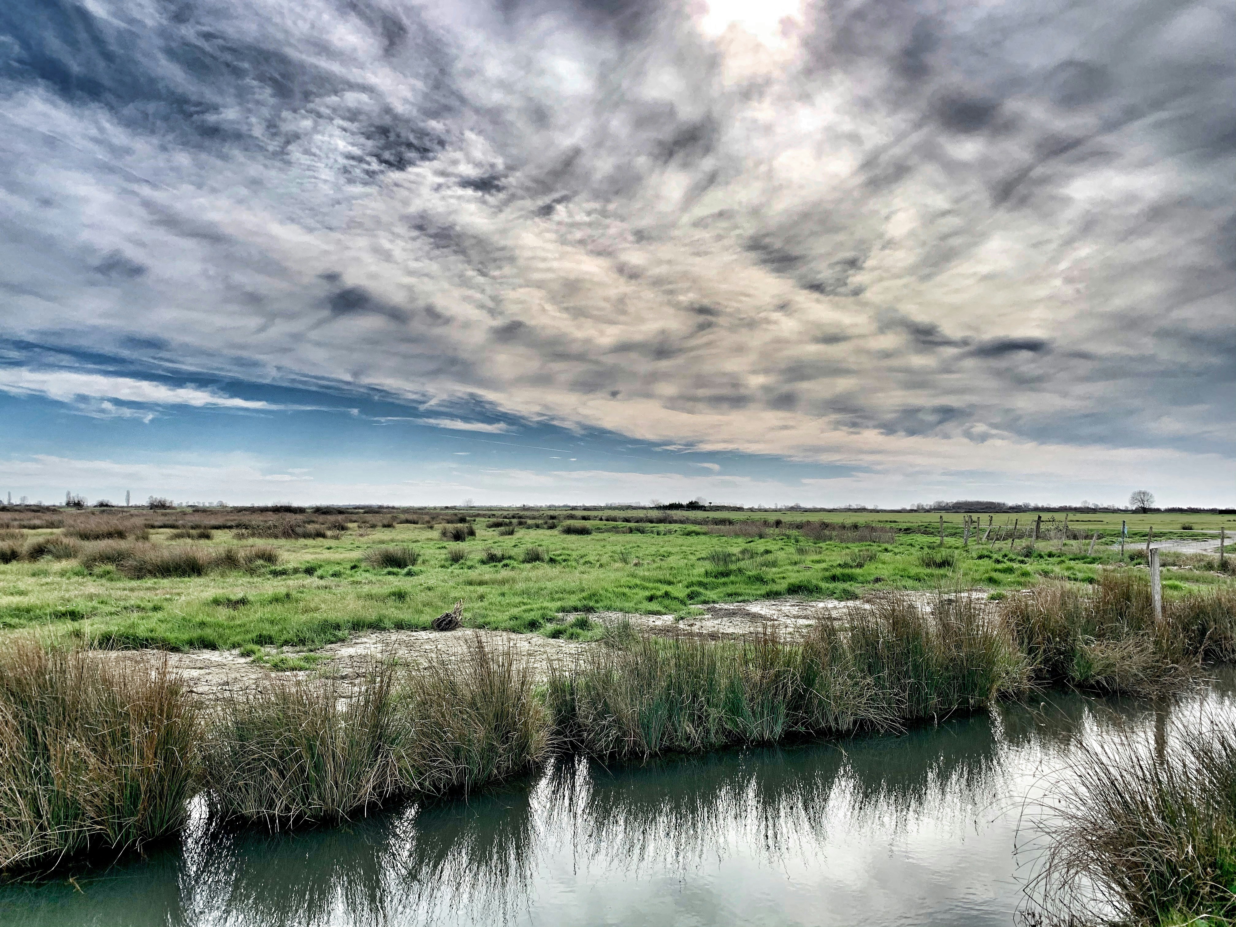 Photo by bartochette