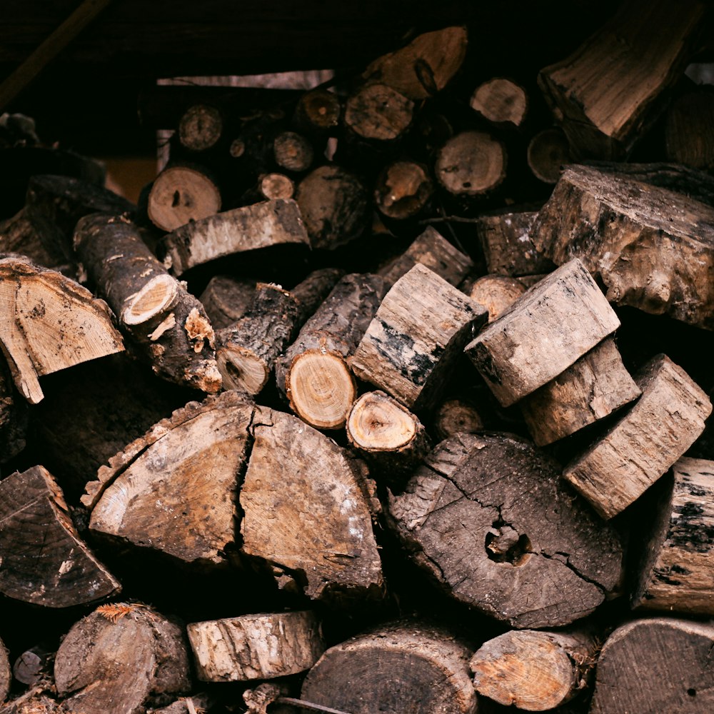 brown and black wood logs