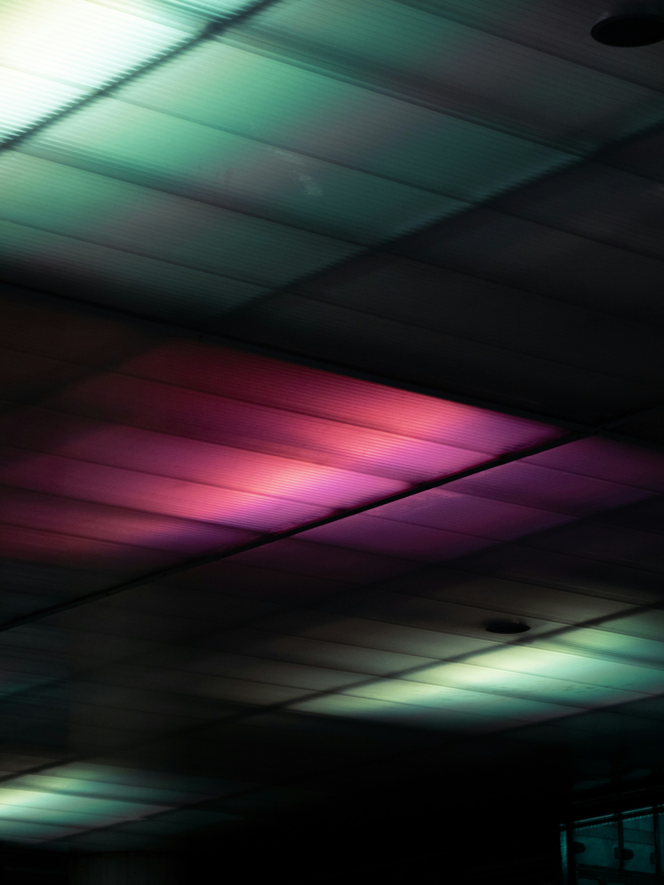 Photo by adrianxsusec