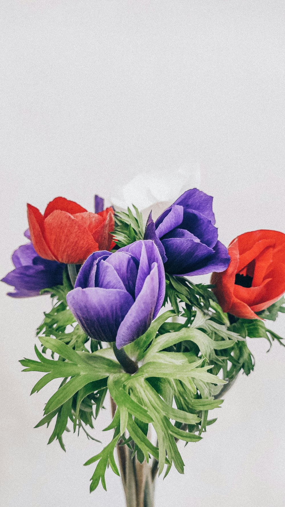 red and purple flower bouquet