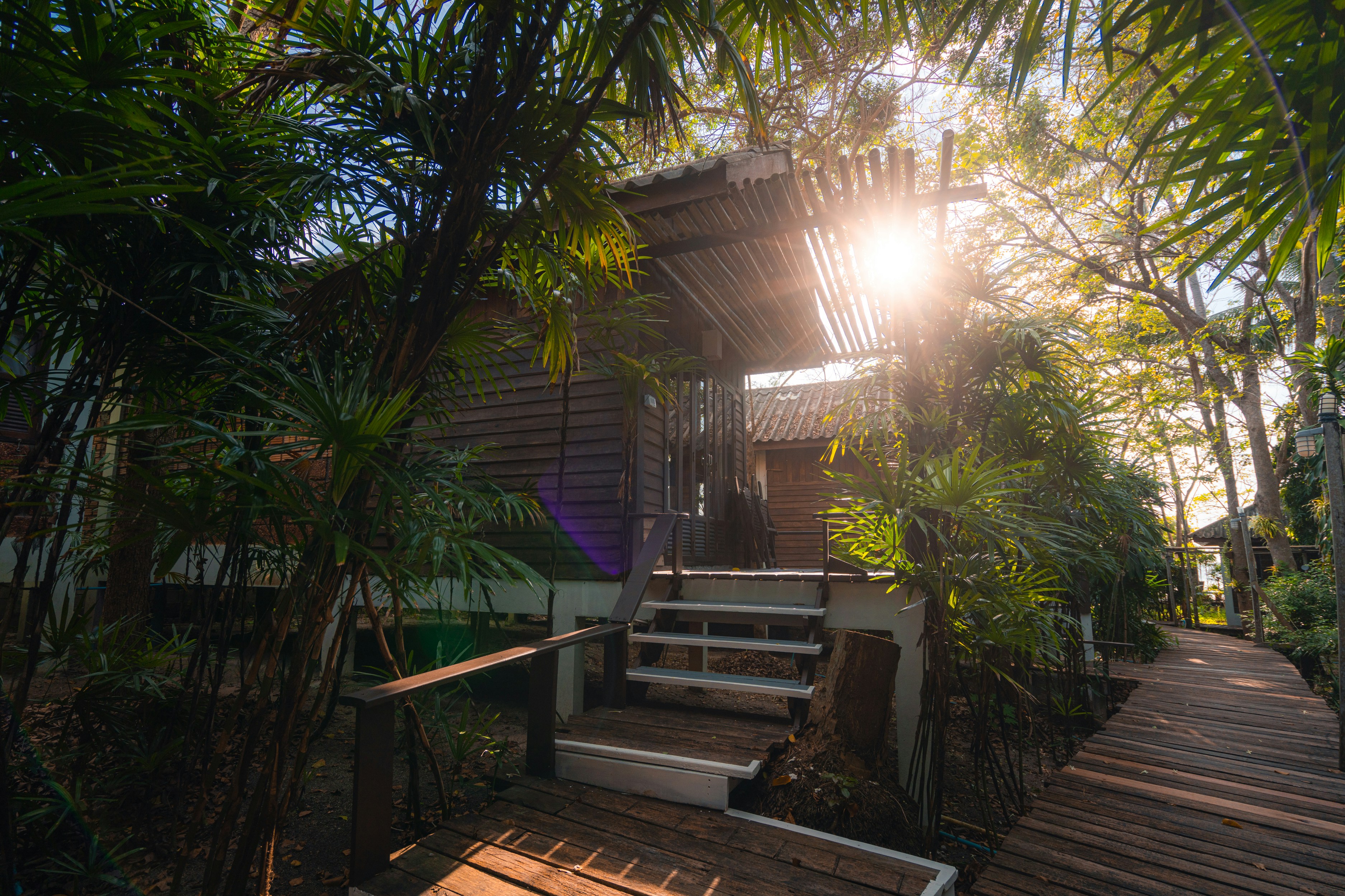 brown wooden stairs near green plants, Bungalow in jungle at sunset