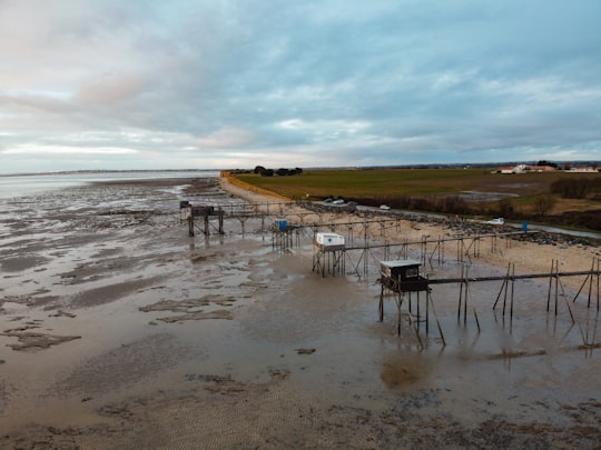 people on beach during daytime in Yves France