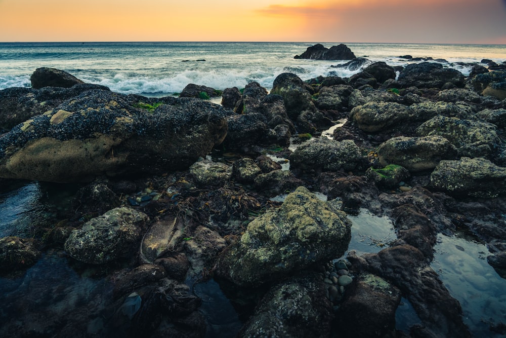 black and gray rocks on seashore during sunset