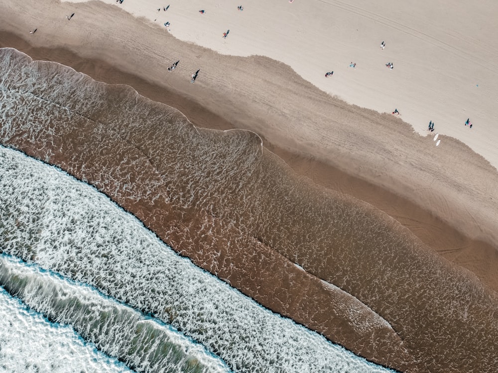 aerial view of beach during daytime