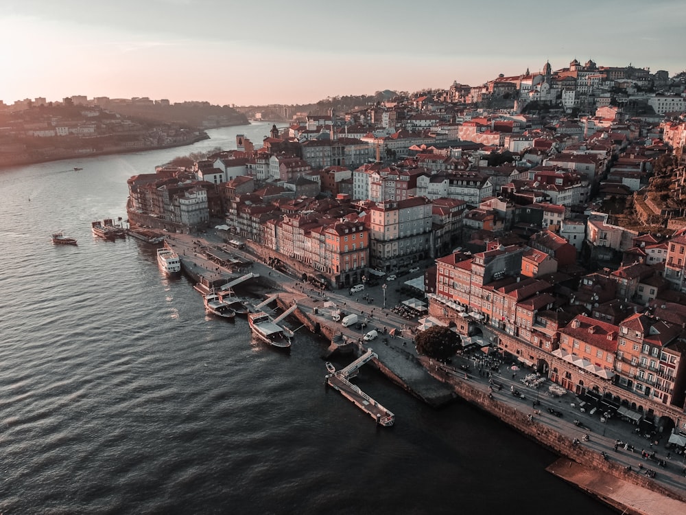 aerial view of city buildings near body of water during daytime