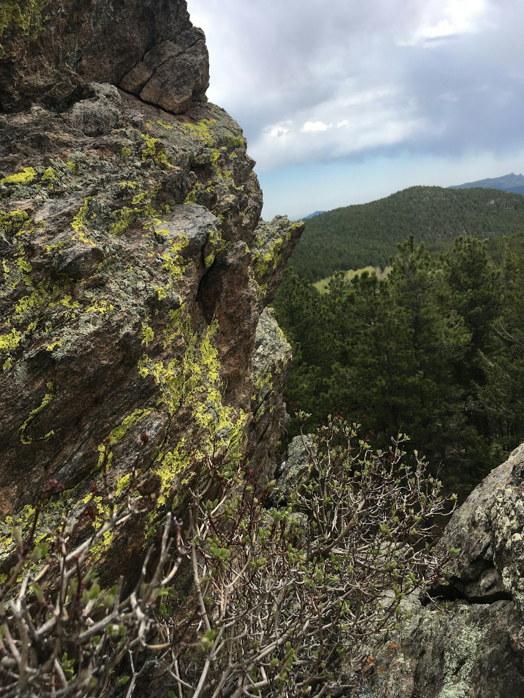 Nature reserve photo spot Arapaho National Forest Golden Gate Canyon State Park