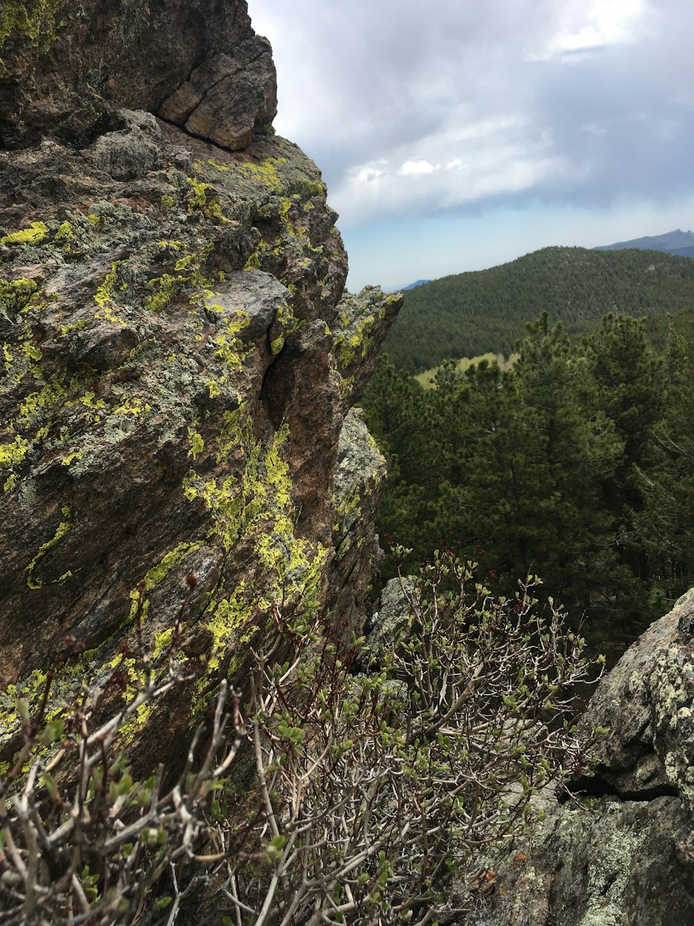 green trees on mountain under cloudy sky during daytime