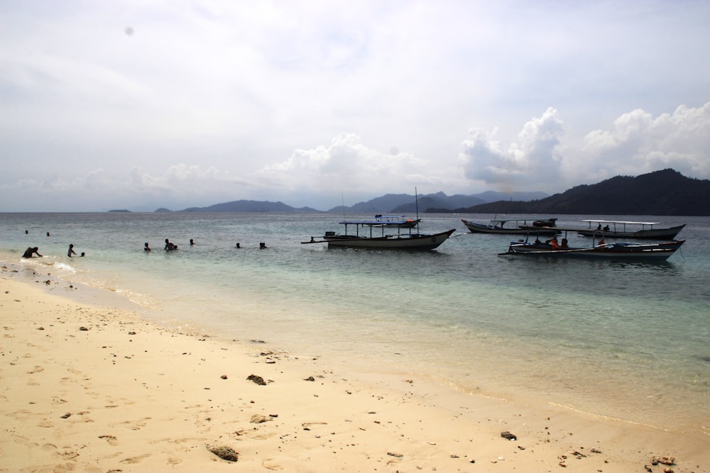 blue and white boat on sea during daytime