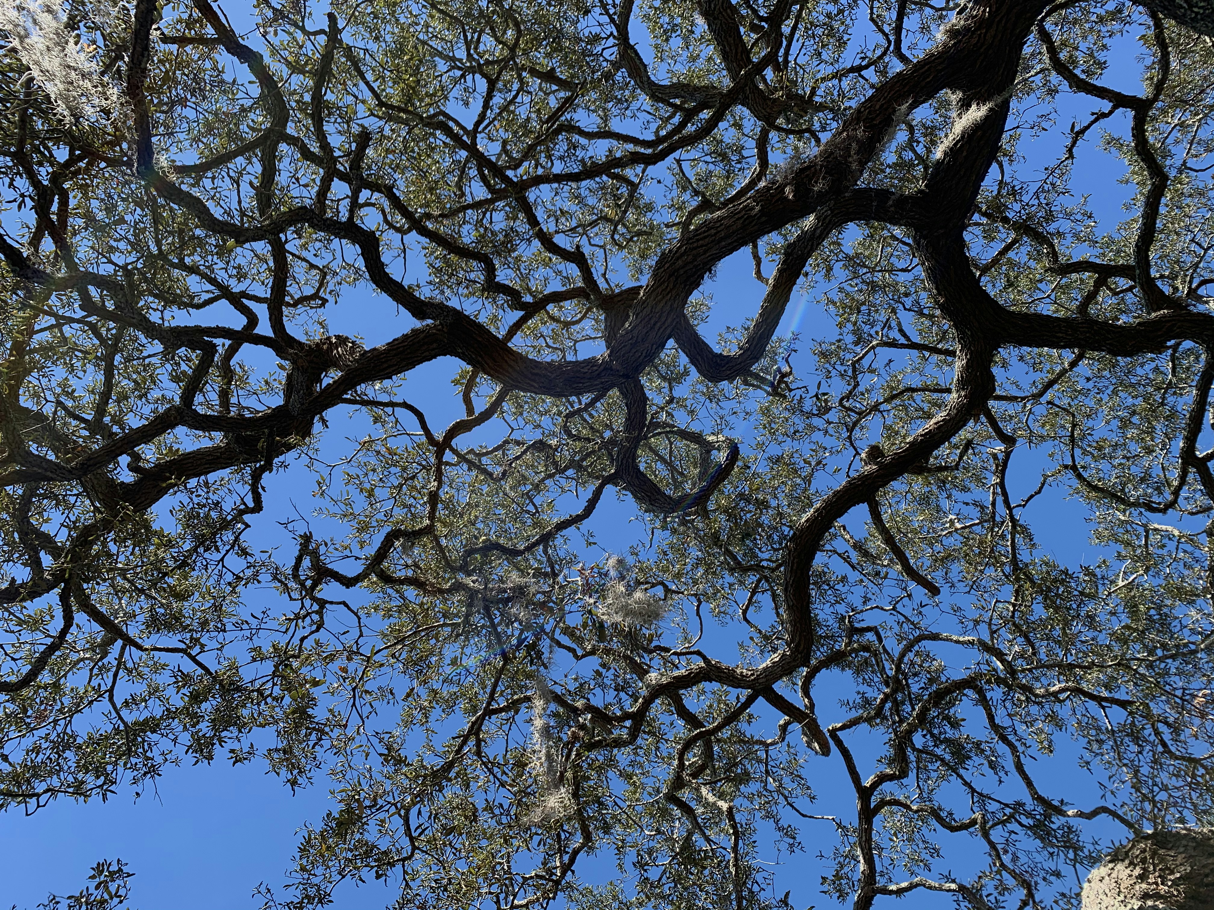 Photo by kayleestepkoski