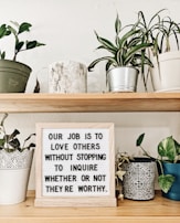Several potted plants are neatly arranged on a wooden shelf, surrounding a sign with an inspirational quote. The plants are in various types of pots including ceramic and metal, providing a mix of textures.