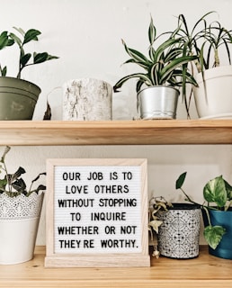 Several potted plants are neatly arranged on a wooden shelf, surrounding a sign with an inspirational quote. The plants are in various types of pots including ceramic and metal, providing a mix of textures.