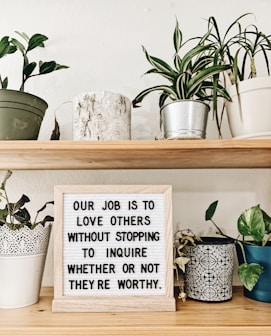 black and white quote board