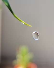 A single water droplet is captured mid-air against a blurred background. The droplet is clear and reflects light, while a green leaf or stem is visible coming from the top left corner, suggesting the droplet has just fallen from it.