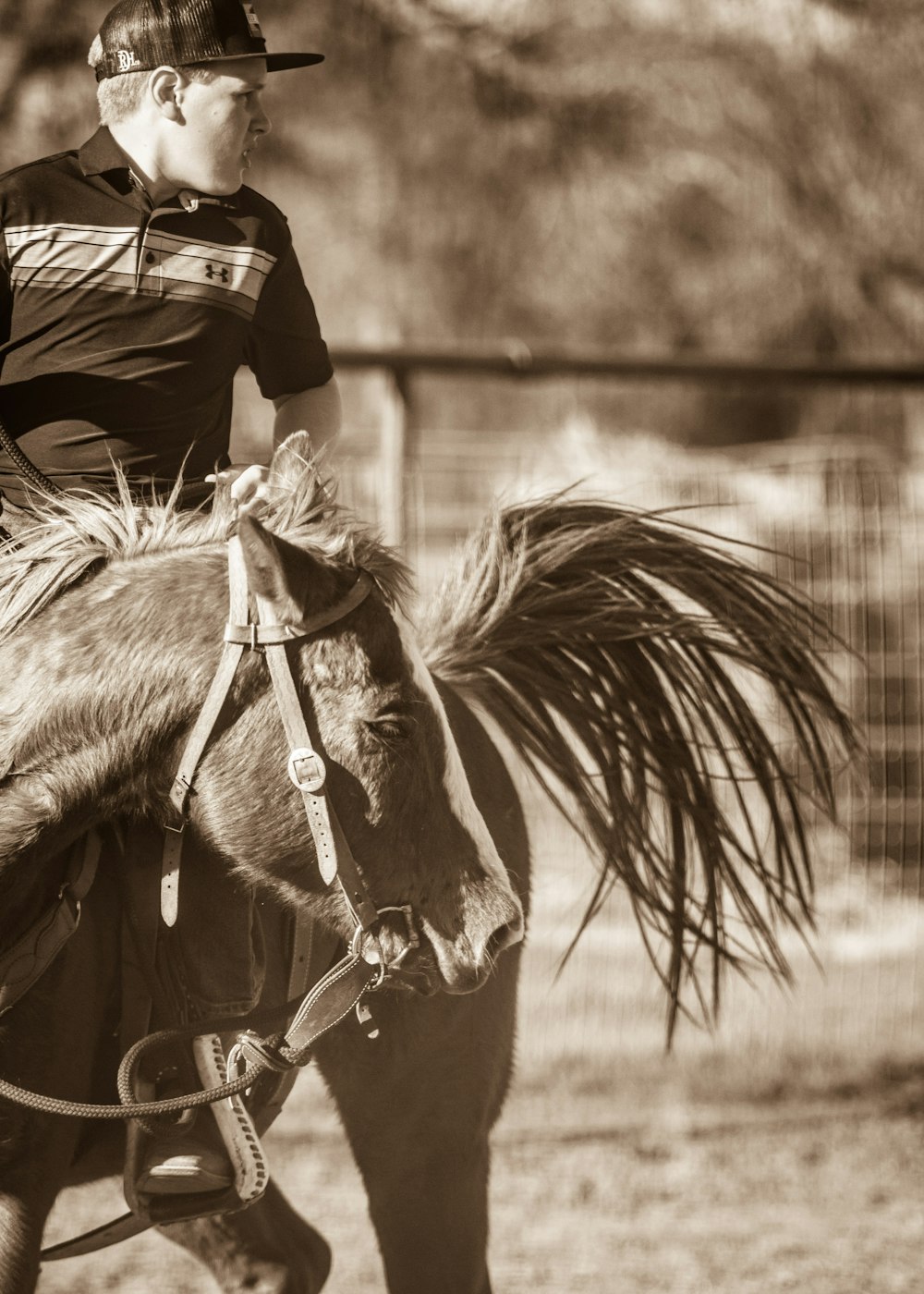 grayscale photo of person riding horse
