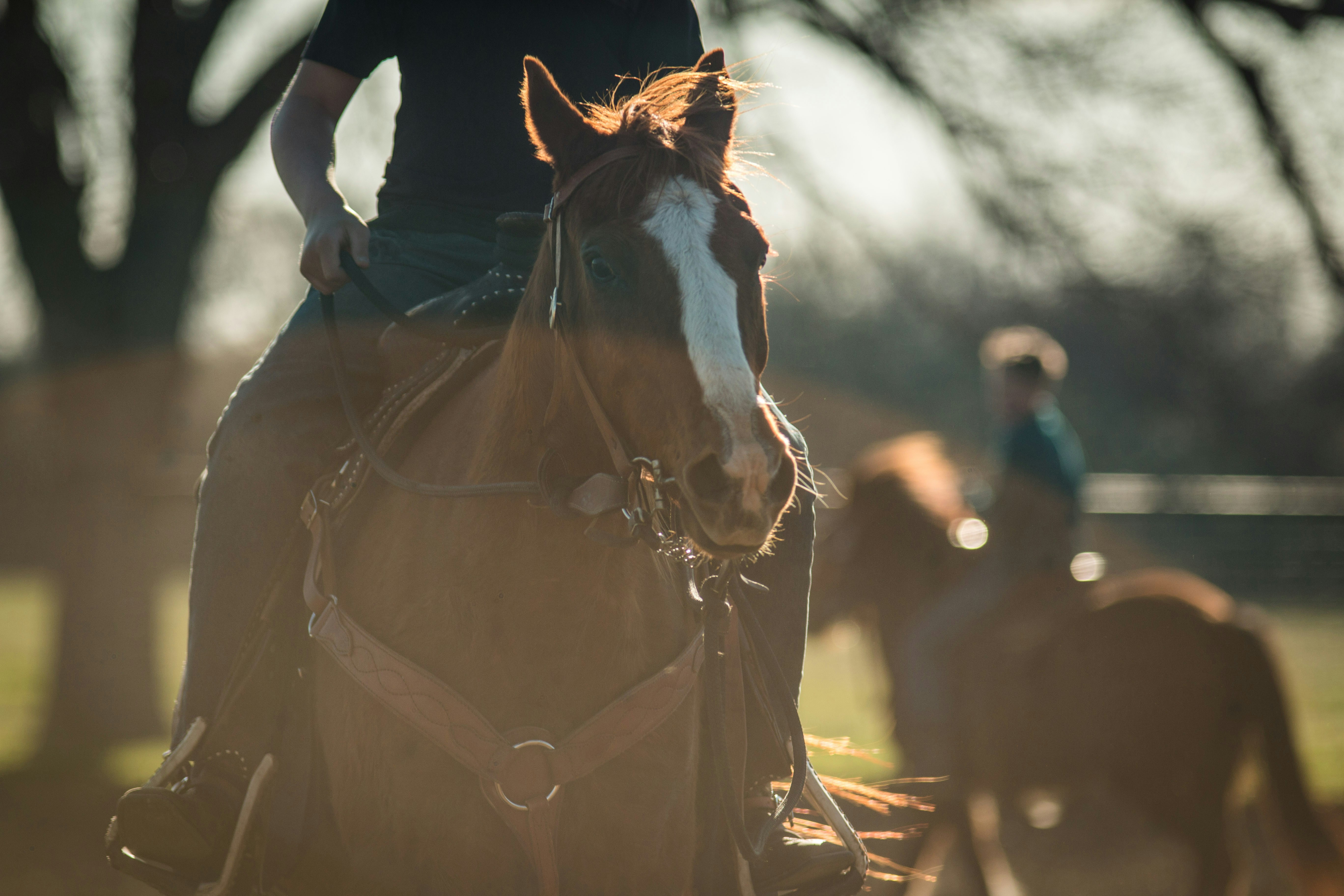 Photo by matthewelancaster