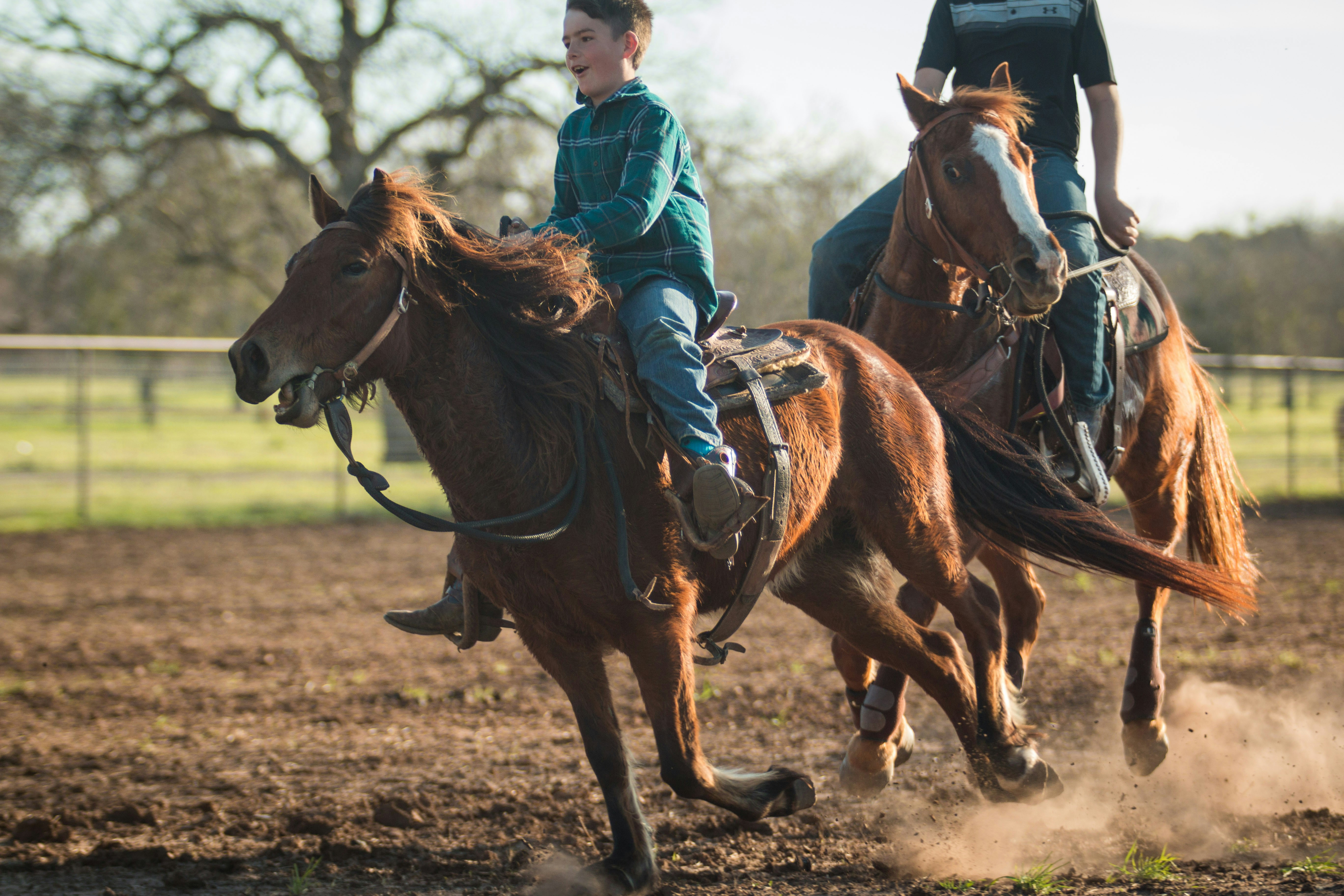 Photo by matthewelancaster