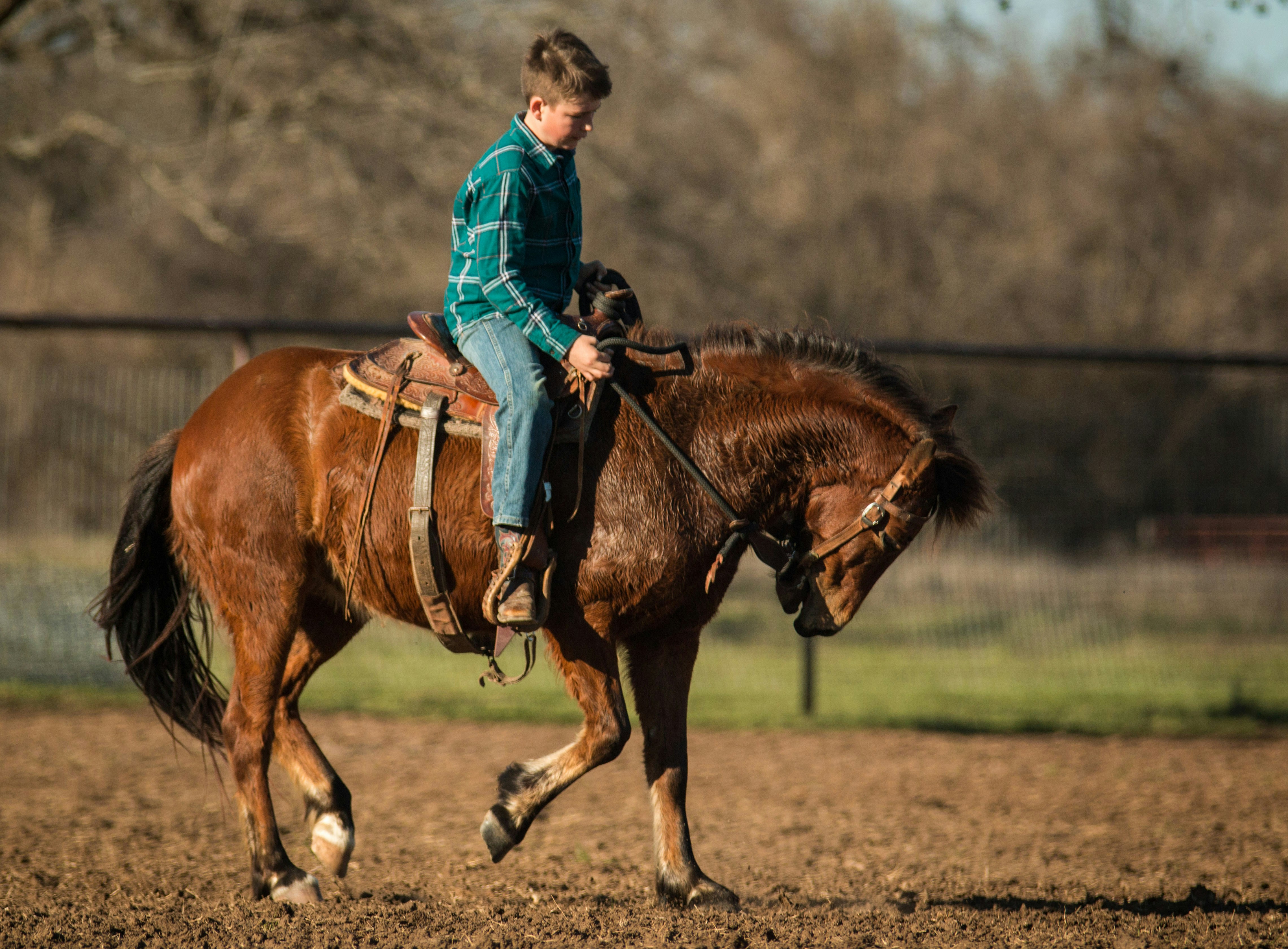 Photo by matthewelancaster