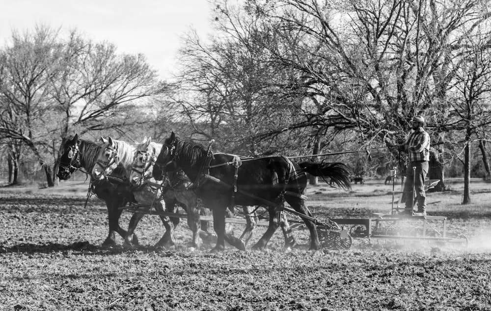 grayscale photo of horses running on field