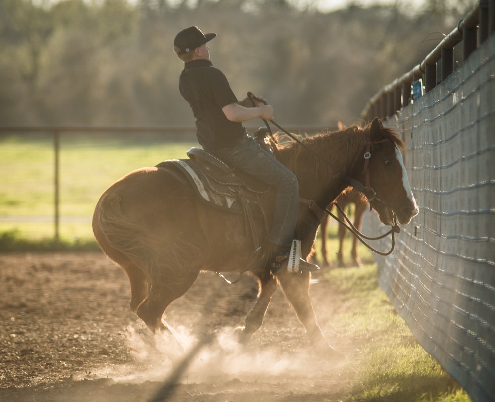 man in black shirt riding brown horse during daytime