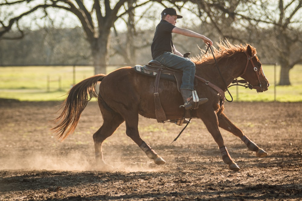 woman in black jacket riding brown horse during daytime