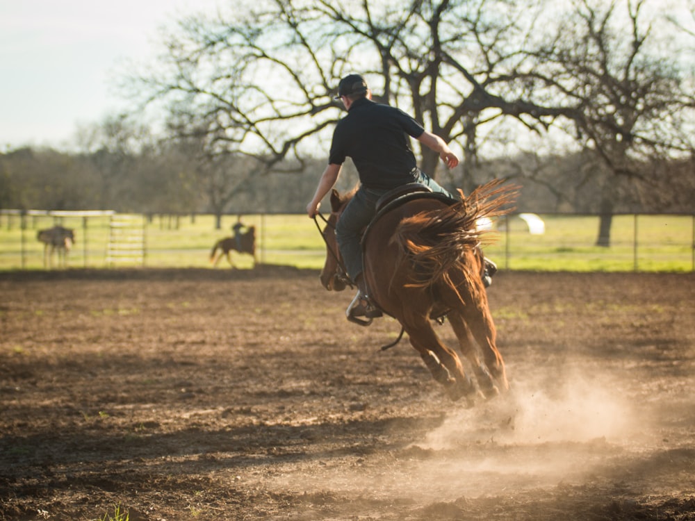 man in black shirt riding brown horse during daytime