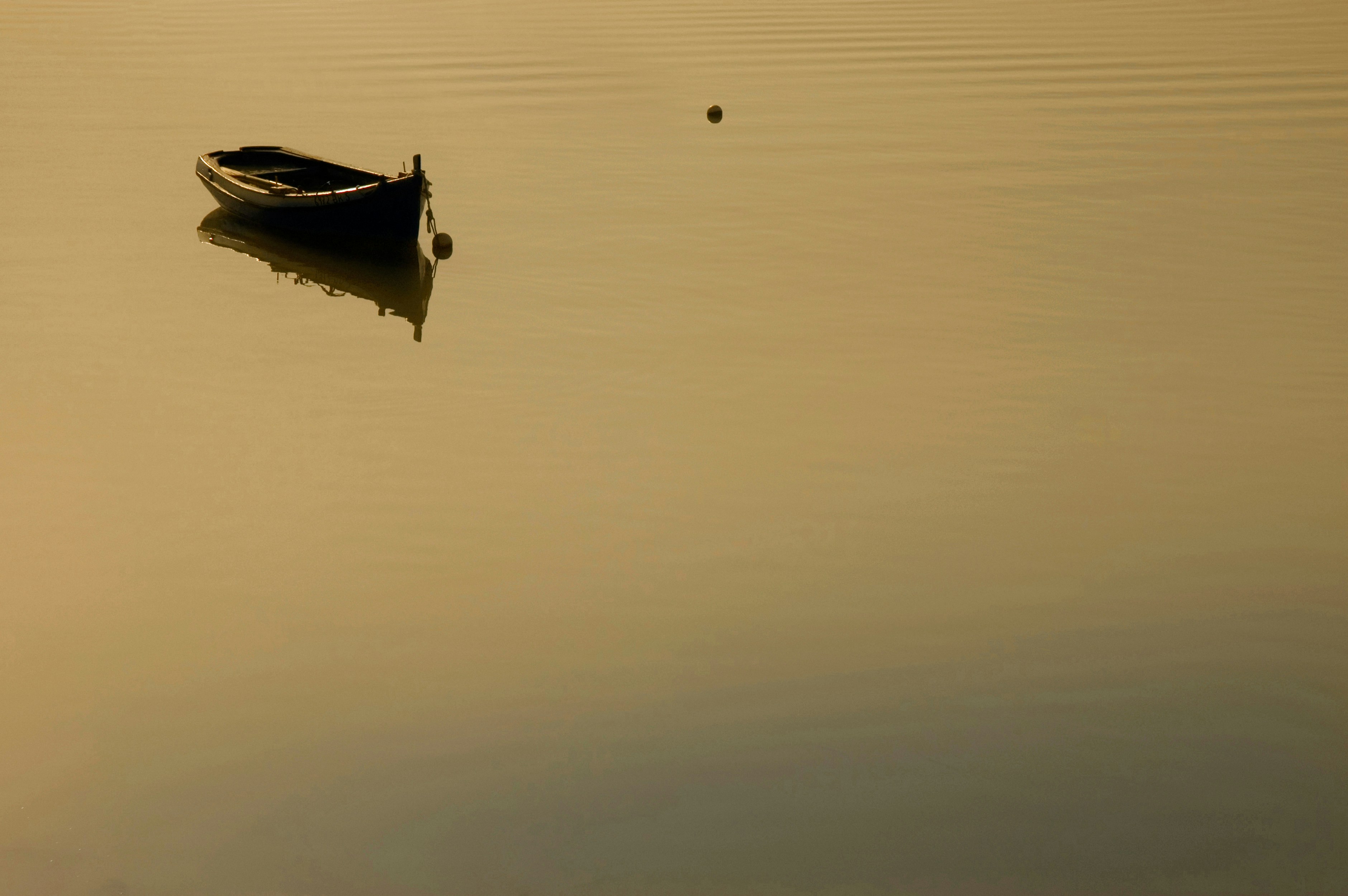 weißes Boot auf ruhigem Wasser tagsüber