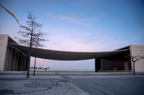 An architectural structure with a modern design features a large, curved roof extending between two rectangular buildings with a backdrop of a serene sky. A sparse tree stands in the foreground, and the area is paved with patterned stones. The sky displays soft pastel colors, creating a calm atmosphere.