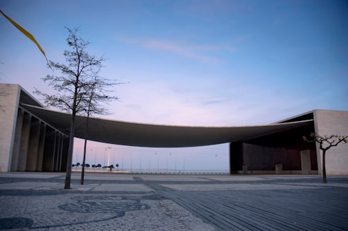 An architectural structure with a modern design features a large, curved roof extending between two rectangular buildings with a backdrop of a serene sky. A sparse tree stands in the foreground, and the area is paved with patterned stones. The sky displays soft pastel colors, creating a calm atmosphere.