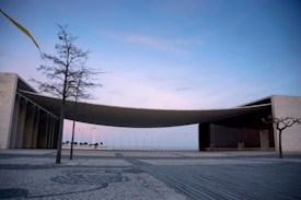An architectural structure with a modern design features a large, curved roof extending between two rectangular buildings with a backdrop of a serene sky. A sparse tree stands in the foreground, and the area is paved with patterned stones. The sky displays soft pastel colors, creating a calm atmosphere.