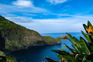 green and gray mountain beside body of water during daytime