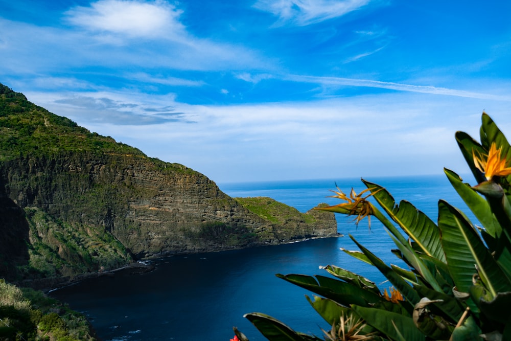 Montaña verde y gris al lado del cuerpo de agua durante el día