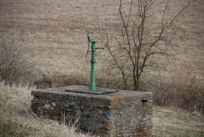A vintage green hand water pump is mounted on a stone platform in an open field. The landscape is grassy with patches of dry grass and a few bare trees in the background, suggesting a rural setting. The weather appears overcast, giving a muted tone to the surroundings.