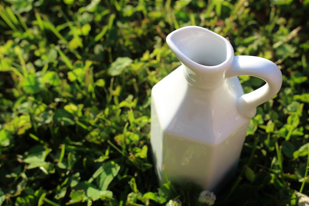 white ceramic pitcher on green grass
