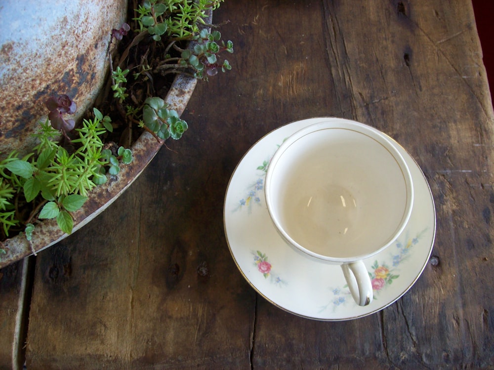 white ceramic round plate on brown wooden table