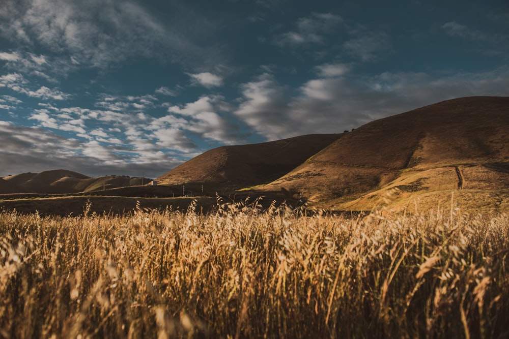 brown grass field near mountain under blue sky during daytime