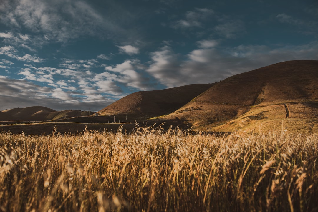 brown grass field near mountain under blue sky during daytime