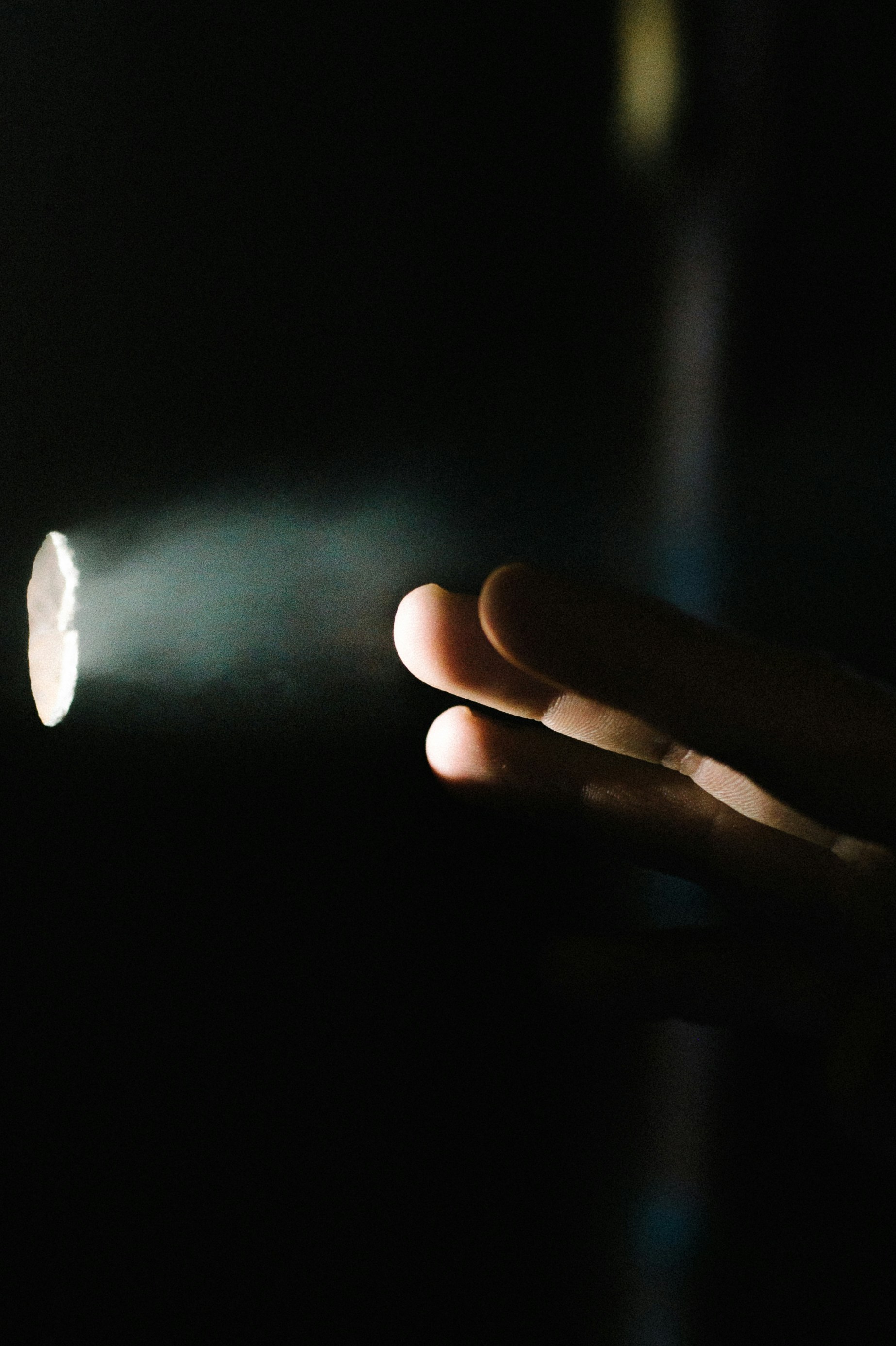 Photo by barnikakovacs