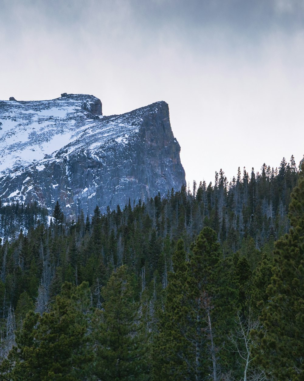 green trees near mountain during daytime