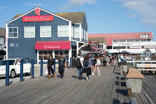 people walking on wooden dock during daytime in Steveston Harbour Canada