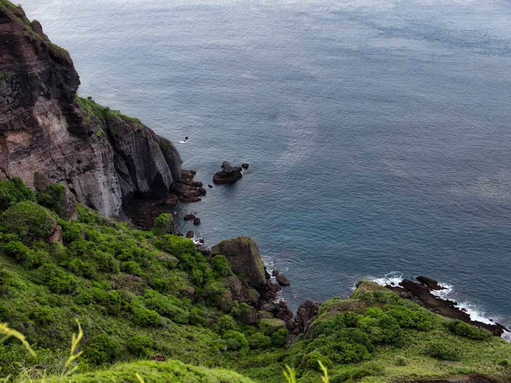 erba verde sulla montagna rocciosa accanto al mare durante il giorno