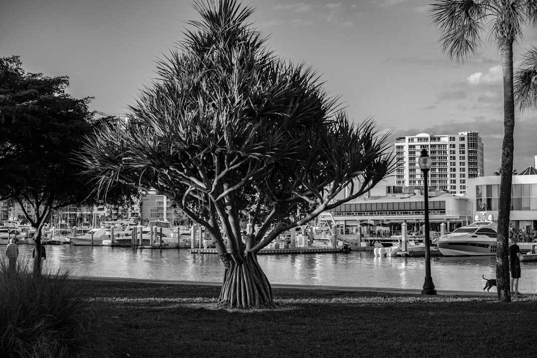 grayscale photo of tree near body of water